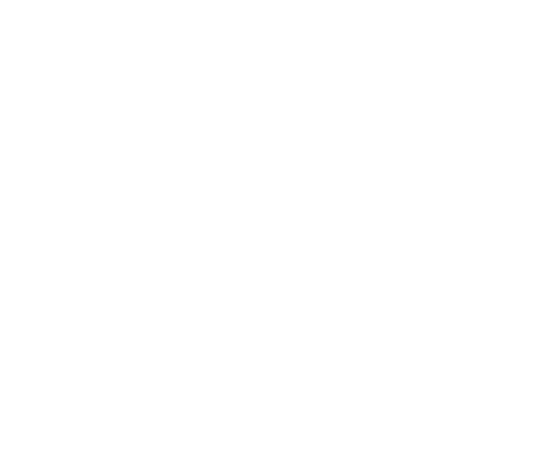 NASS Hotels